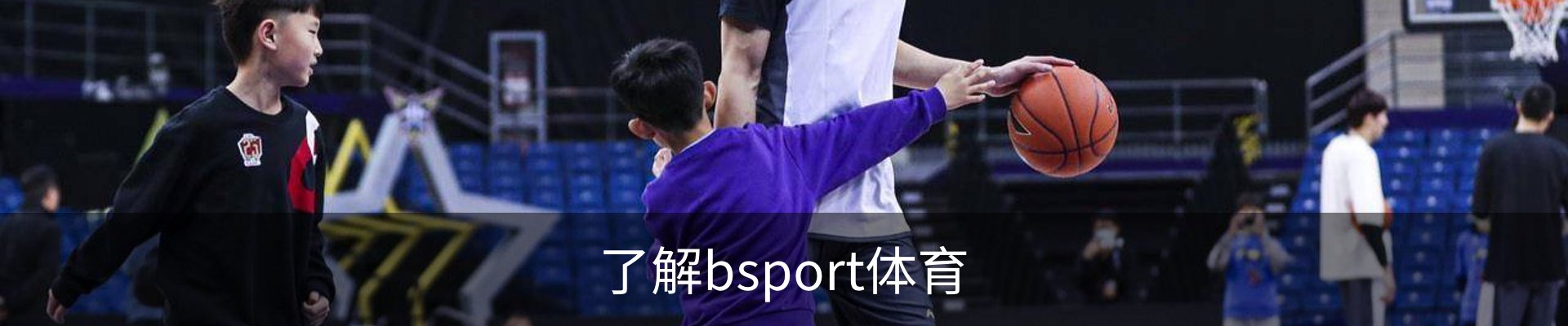 了解bsport体育